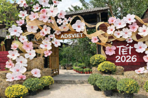 Xu Hướng Chụp Ảnh Tết 2026 Nha Trang