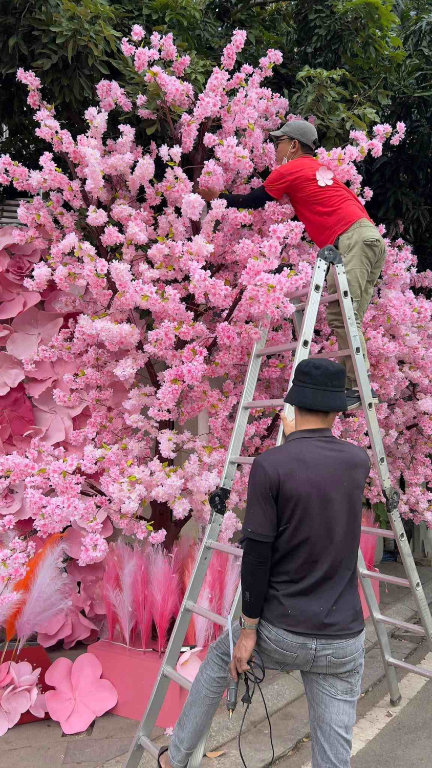 trang tri tet 2026 nha trang13