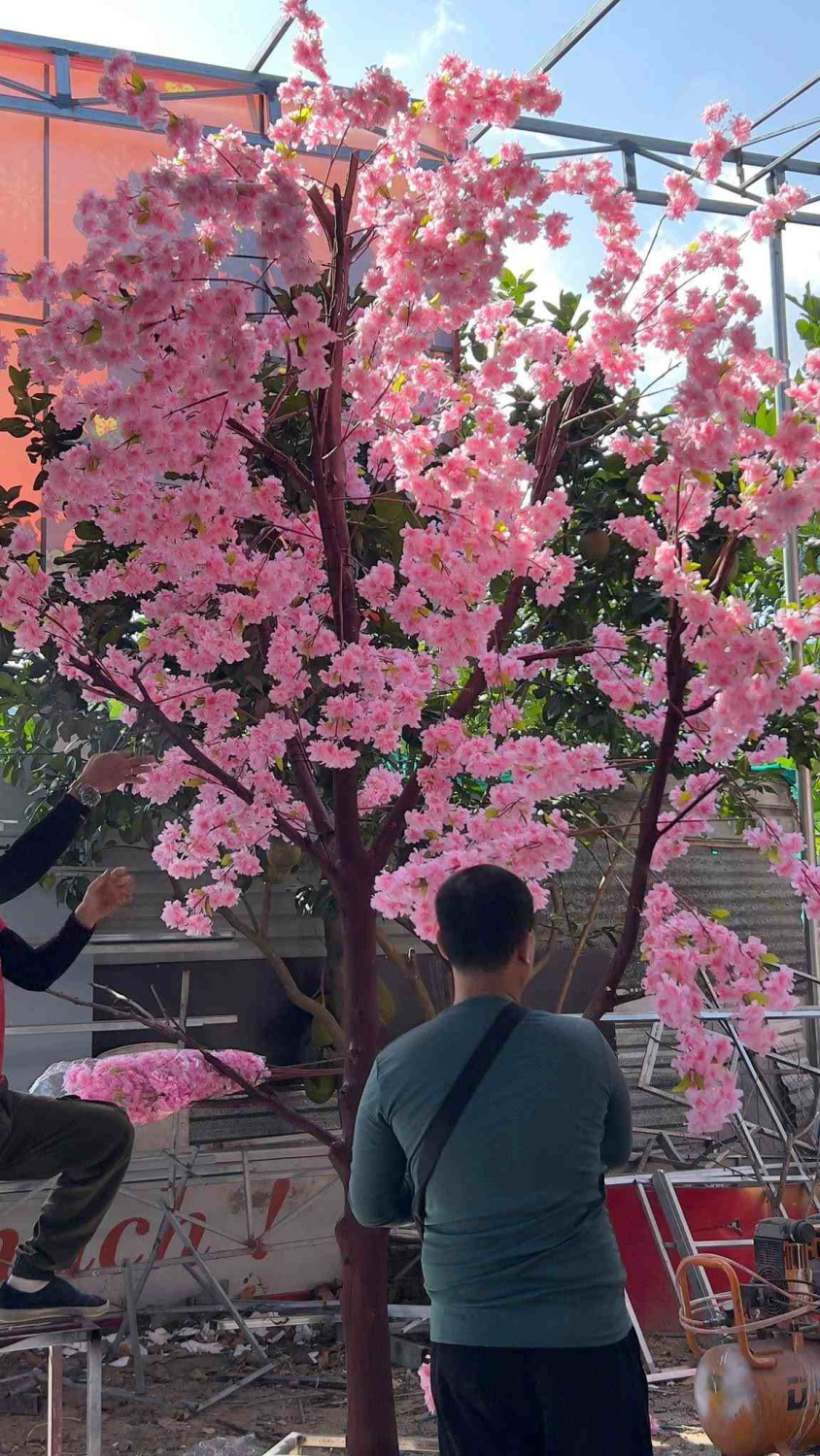 trang tri tet 2026 nha trang16