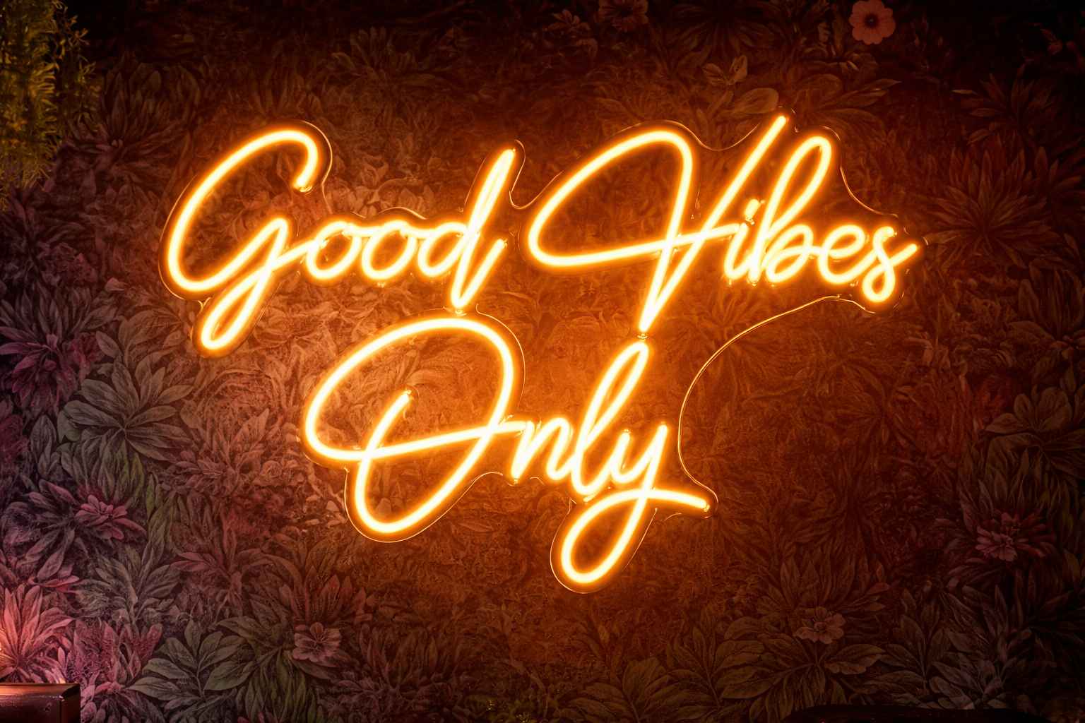 hop den 2026 nha trang